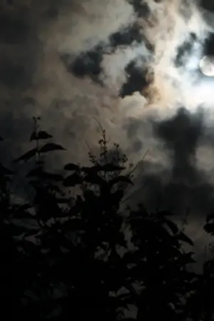 ปกนิยาย {CHB's fiction} นิทานหมาป่า