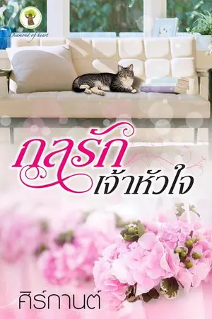 ปกนิยาย