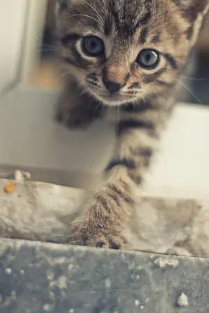 ปกนิยาย กาลครั้งนั้นจากมาวิน