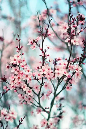 ปกนิยาย [SF&OS NCT] 10Point for TEN (JAETEN, DOTEN)