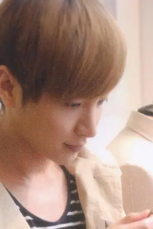 ปกนิยาย have lost.