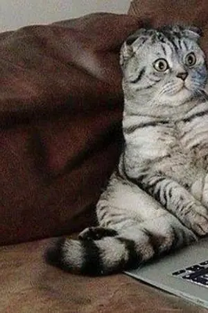 ปกนิยาย ชื่อไรไม่รู้ แเน่จริงเข้ามาดู จะอู้ฮูลั้นลา=w=\/ yaoi