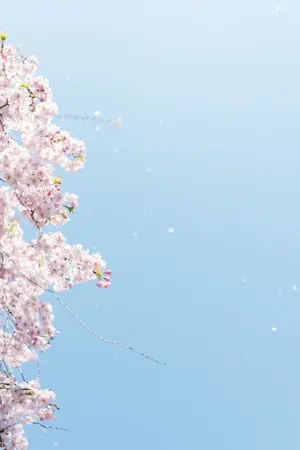 ปกนิยาย Hello NOV. #พฤศจิกาเยิน