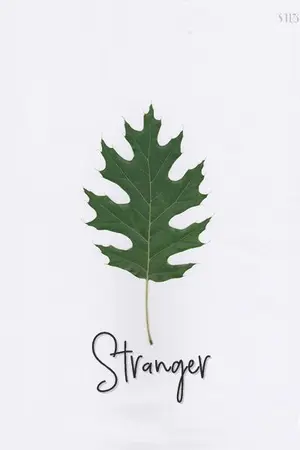 ปกนิยาย [Yuri] Stranger หมวดคะ! ขอรบกวนหน่อย [จบแล้ว]