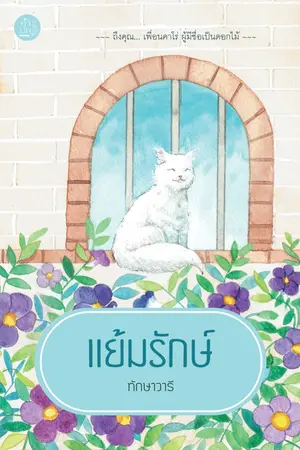 ปกนิยาย