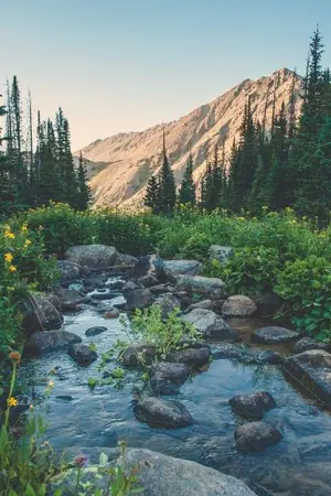 ปกนิยาย คุณหนูวายร้ายกับคุณชายไร่ส้ม