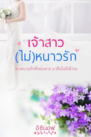 ปกนิยาย