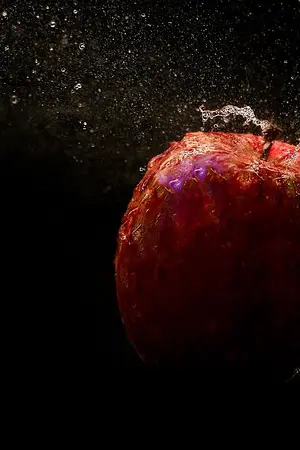 ปกนิยาย Catch Me If You Can l nielong #หนูแมวเนียลอง