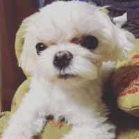 ปกนิยาย 누나 พี่สาวครับ อ่อยแล้วนะ มากินซะที !