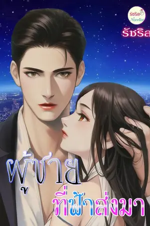 ปกนิยาย ผู้ชายที่ฟ้าส่งมา