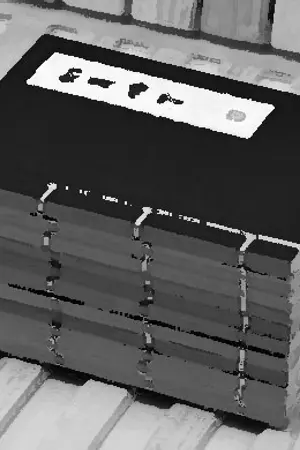 ปกนิยาย หวังชงหยวน 王聪圆