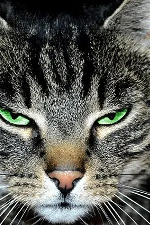 ปกนิยาย The lost world : Goodbye Tomorrow