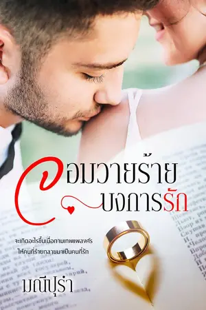 ปกนิยาย