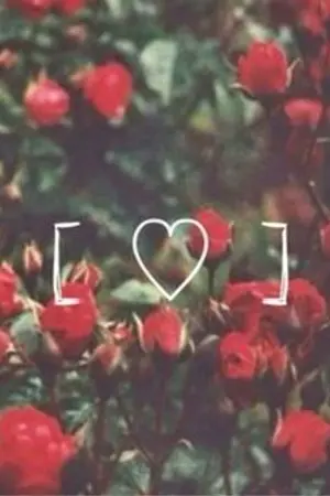 ปกนิยาย [OS/SF] Normal Love (MARK x TEN)