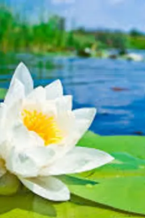 ปกนิยาย ข้ามเวลา....มาหารัก