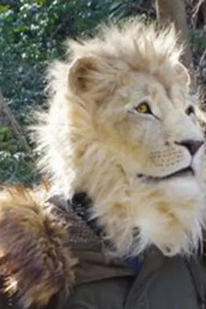 ปกนิยาย สิ่งล้ำค่า [My Treasure]