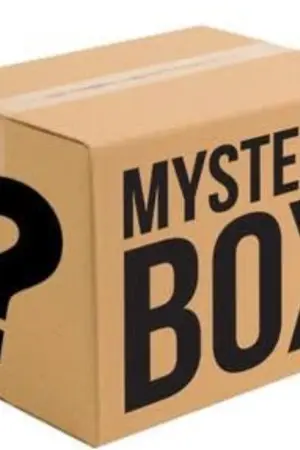 ปกนิยาย Mystery box [Yaoi]