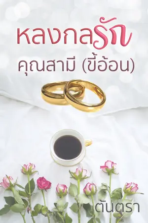 ปกนิยาย