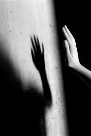 ปกนิยาย The Shadow - เงา