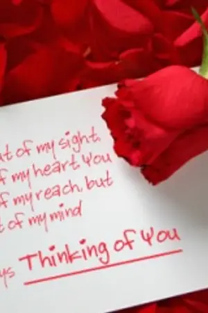 ปกนิยาย กรุ่นไอรัก...เสน่หามัดใจ [::: Sweet Romance Café : No.5 :::]