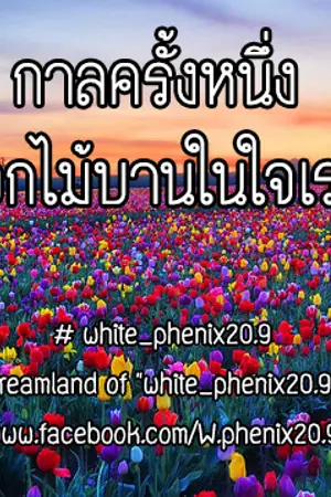 ปกนิยาย