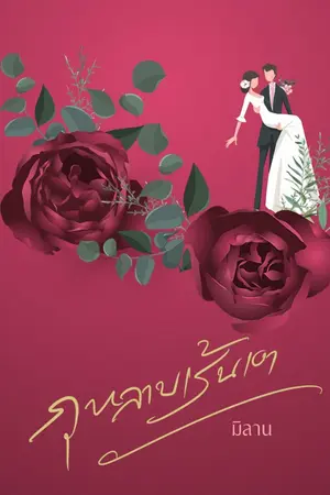 ปกนิยาย