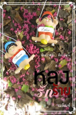 ปกนิยาย