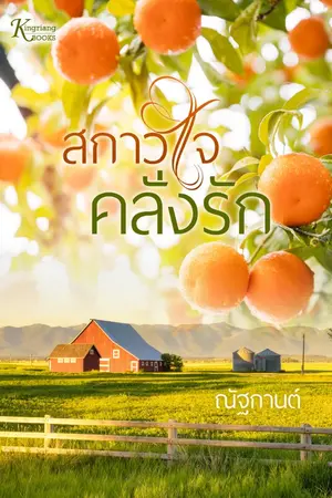 ปกนิยาย