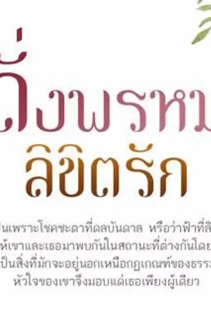 ปกนิยาย ดั่งพรหมลิขิตรัก รีอัพใหม่สำหรับคนชอบอ่านหนังสือ