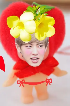 ปกนิยาย SF&OS EXO by xcho / kaihun krisyeol