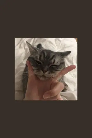 ปกนิยาย ด้วยรักและปลาทู [Boy's love] [Yaoi]