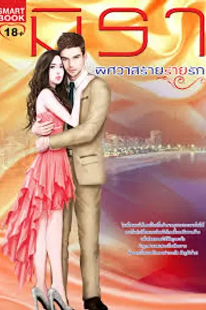 ปกนิยาย