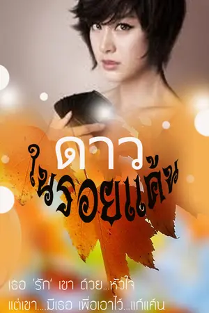 ปกนิยาย