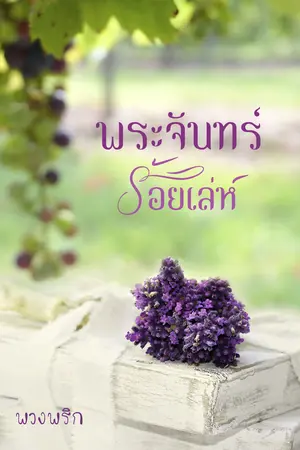 ปกนิยาย พระจันทร์ร้อยเล่ห์ [พิมพ์คำ new star]