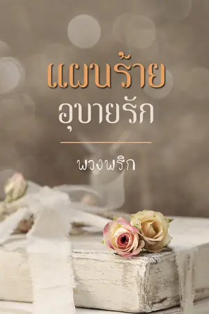 ปกนิยาย