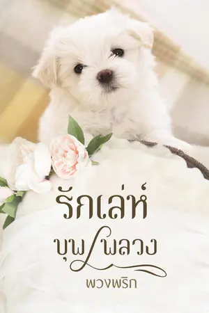 ปกนิยาย