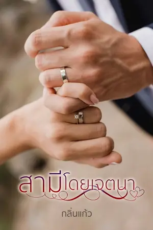 ปกนิยาย สามีโดยเจตนา