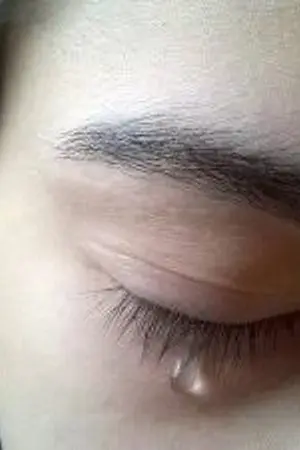 ปกนิยาย ความต้องการ