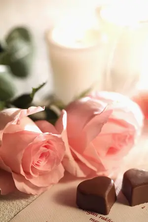 ปกนิยาย Destiny  [SJ: KiHae HanChul WonHyuk KyuMin]