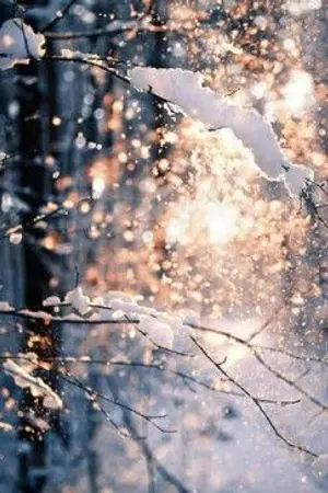 ปกนิยาย OC World