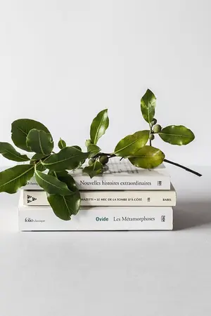 ปกนิยาย [SF/OS] In the Mood l NCT (All x Yuta)