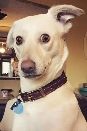 ปกนิยาย (sf/os) It's cold outside (Produce101/wanna one) #nielong