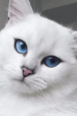 ปกนิยาย Os/Sf Hiding in the cold  [wannaone / nielong]