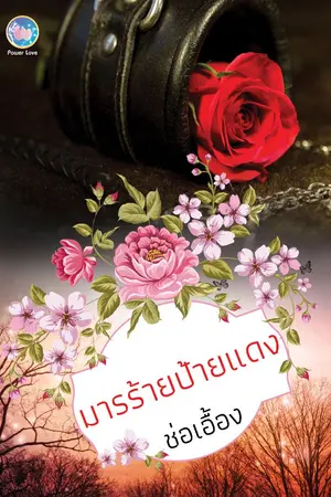 ปกนิยาย