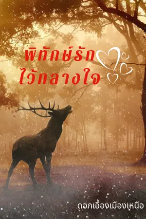 ปกนิยาย พิทักษ์รักไว้กลางใจ (ฉบับปรับปรุง)