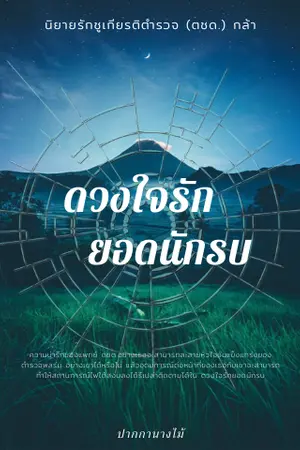 ปกนิยาย