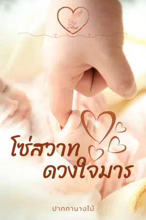 ปกนิยาย