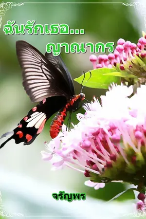 ปกนิยาย