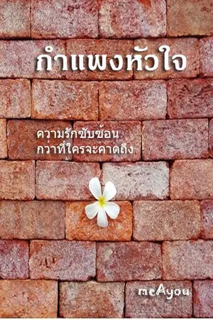 ปกนิยาย กำแพงหัวใจ yuri