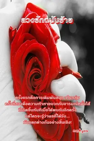 ปกนิยาย ลวงรักฉบับร้าย yuri